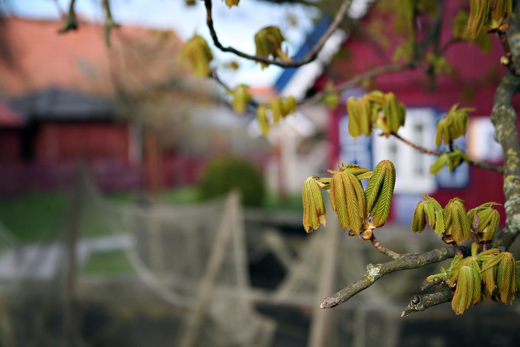 Holiday Terrace Nida Εξωτερικό φωτογραφία